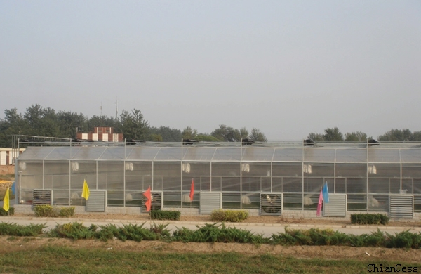 �r(n��ng)��Ժ�^����� ꖹ�����