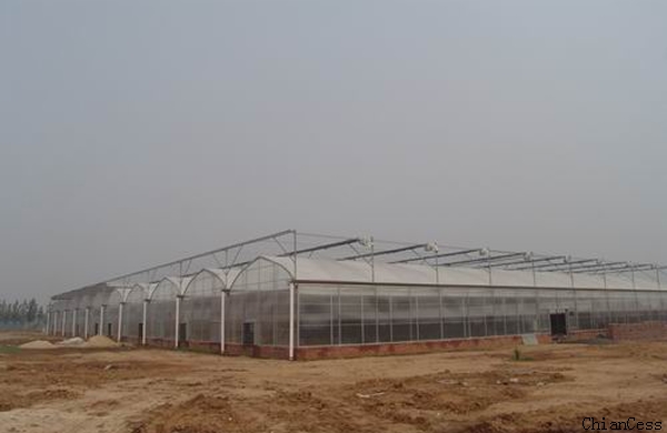 ꖹ�����B(t��i)���� ꖹ�����B(t��i)�Ƶ� ꖹ�����B(t��i)�͏d