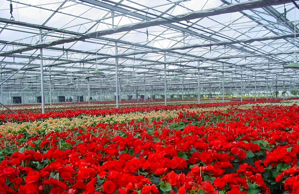 �(y��ng)������B(t��i)�r(n��ng)�I(y��)�@