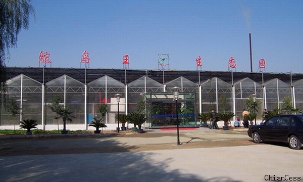 ꖹ�����B(t��i)�Ƶ�