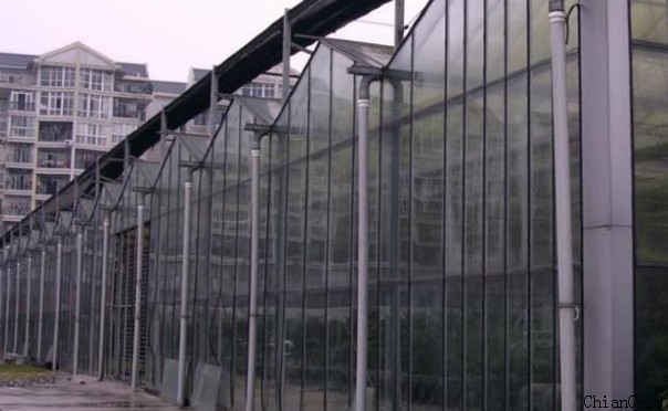 陽光板溫室 陽光板溫室