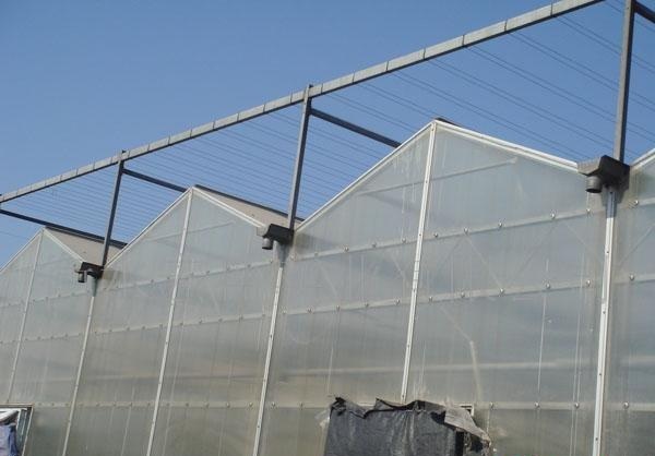 �Ё����Ҍ���ꖹ�彨��Ĝ���չʾ�D