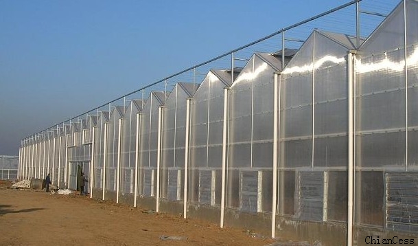 ������^���(y��ng)�����ҬF(xi��n)��(ch��ng)չʾ�D