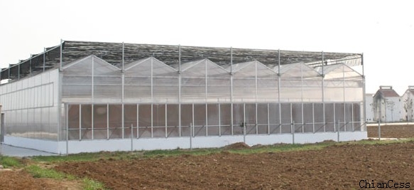 �����ķ��F��ꖹ�����չʾ�D