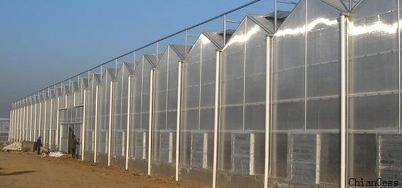 ����ɽ�|ʹ��ʮ�겻�l(f��)�S����ꖹ��չʾ�D