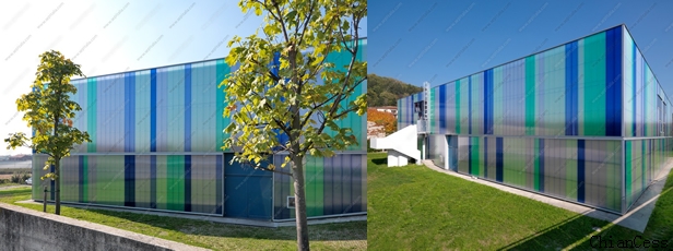 20mm��ɫU���i���(y��ng)����ć�(gu��)��Gɫֲ��V��(ch��ng)չʾ�D