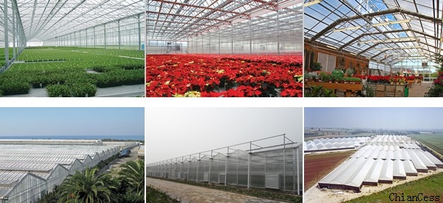 ��̼��������ꖹ���ڬF(xi��n)���r(n��ng)�I(y��)�еđ�(y��ng)��