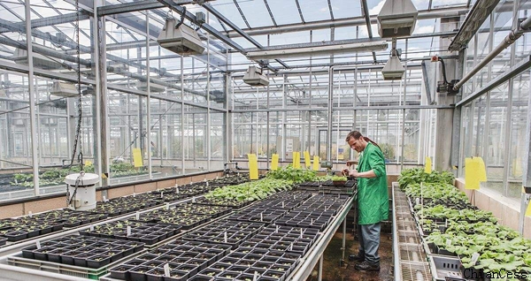 ���Ҍ���ꖹ���ڬF(xi��n)���r(n��ng)�I(y��)�еđ�(y��ng)��չʾ�D