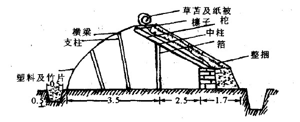 陽光板用于搭建海城式溫室
